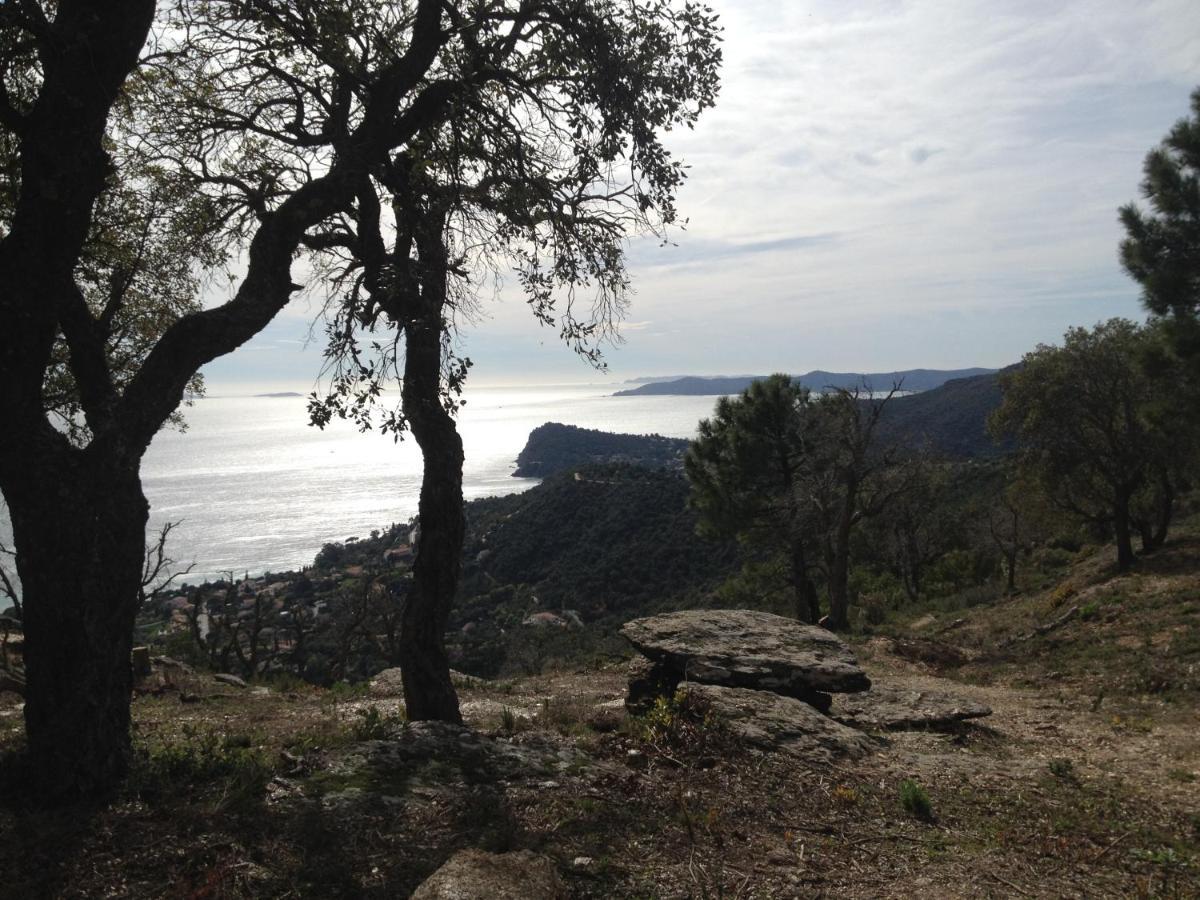 Chemin De La Roseraie Cavalaire-sur-Mer Zewnętrze zdjęcie